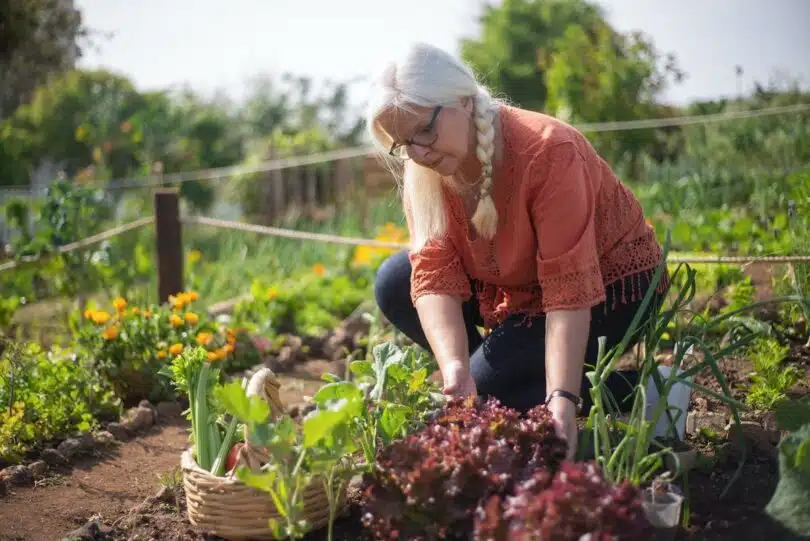 Les bienfaits du jardinage pour les personnes âgées une source de